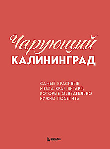 Enchanting Kaliningrad. The most beautiful places of the amber region that must be visited